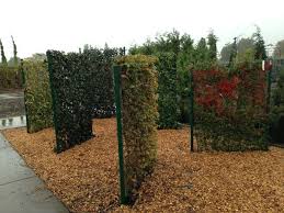 Mobilane On Twitter Sichtschutz Garten Vertikaler Garten Gartendesign Ideen