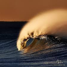 Larry Beard Collection