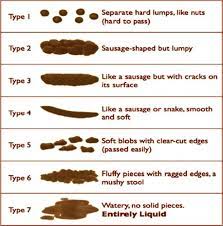 Constipation In Ckd Kidney International Reports
