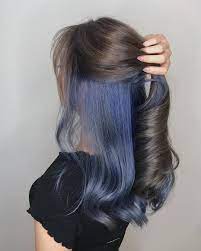 Underneath Dyed Hair Color Ideas For Brunettes Xfitculture Com Hair Color For Black Hair Hair Dye Colors Brunette Hair Color