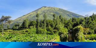 Neueste wöchentlicher top monatlich top meistgesehene bestbewertet höchste. Jalur Pendakian Gunung Sindoro Via Kledung Buka Kembali Halaman All Kompas Com