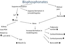 Image result for Bisphosphonates