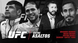 Brandon moreno, brian ortega, marlon chito vera y victor davila. Entre Asaltos Episodio 3 Ufc 263 Youtube