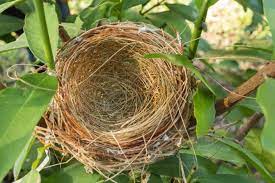 Maybe you would like to learn more about one of these? Reconnect During The Empty Nest Years Marriage Dynamics Institute