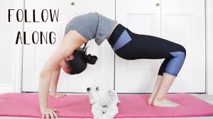 Performed consistently, the stretching exercises below can help to do the following… increase the range of motion about a joint reducing the risk of muscle and tendon tears during competitive activity. Intermediate Back Flexibility Stretches Youtube