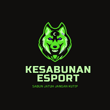 Jangan pakai sabun cuci piring untuk cuci mobil, itu keras sekali bahannya, ucap chocky kepada kompas.com, kamis, (26/12/2019). Kesabunan Esport Home Facebook