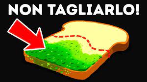 Anche ieri mi sono dilettata in cucina, con i dolci. Cosa Succede Se Mangi Pane Ammuffito Youtube