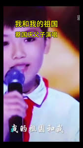 父子演奏加州旅馆| TikTok