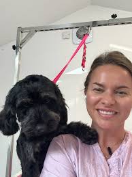 Puppy love❤️ Little Ted came to visit me yesterday for his first puppy  groom, he was a little angel from start to finish❤️🐾