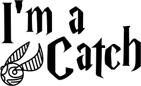 Transparent Harry Potter Quidditch Clipart Im A Catch Harry Potter Png Download Full Size Clipart 5255077 Pinclipart Rowling for her fantasy book series harry potter. transparent harry potter quidditch