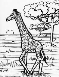 Let's get to know more about this gigantic animal through this collection of giraffe coloring sheets to print. Printable Giraffe Pictures Coloring Home