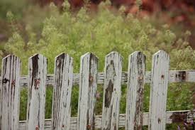 Check spelling or type a new query. What Is The Garden Fence Protocol And What Does It Mean For Me Ppo