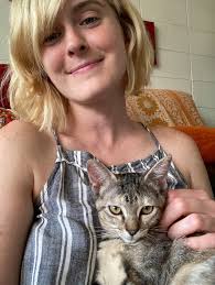 Looking for litter trained kittens in Bell County?