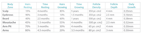 How Hair Grows Understanding Keratin Permanence