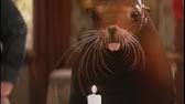 The seal in the film is almost like a dog, but with flippers. Andre 1 9 Movie Clip Bonding With Andre 1994 Hd Youtube
