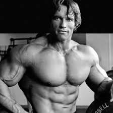 Low skeletal muscle mass, obesity and muscle depletion during palliative chemotherapy are meaningful prognostic factors in advanced btc. Bodybuilding Bodybuilding Twitter