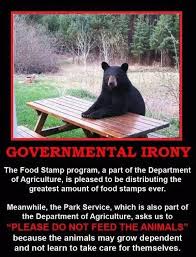 Dont Feed The Animals Meme Animals Animal Memes True Life