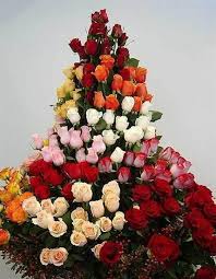 Pin De Katerina Hernandez En Bellas Rosas Rosas Jardin De Flores Flores