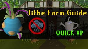 If you would like to learn how to farm your skotizo totems, the link to the video will be at the end of this article. Osrs Tithe Farming Training Guide No Humidify Stamina 2020 Youtube