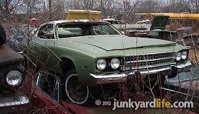 Image result for Amber Sherwood 1972 Satellite