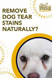 Certified organic · delivery available · best sellers Clviitsny7 24m