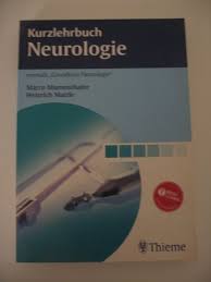 Gerade eben informieren sich in berlin 30 journalisten über das thema professionelle. Kurzlehrbuch Neurologie Medizin Lehrbuch Mumenthaler Thieme Verlag Neu Gunstig Kaufen Ebay