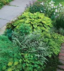 Conquering Collector S Chaos Finegardening Garden Images Shade Garden Diy Garden Projects