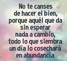 Debemos De Aprender Ser Mas Que Justos Bondadosos Con El Projimo Y Aun Mas Con Las Personas Que Nos Rodean Es Cansa Pensamientos Frases Motivacion Frases