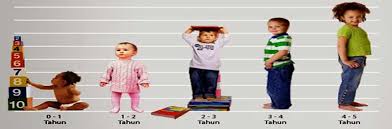 Image result for قد کودکان در سنین مختلف
