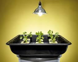 Thease videos cover building an ebb and flow hydroponic system. Garden All Winter With This Hydroponic System Hydroponic Plans