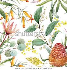 Tropical Floral Print Orange Bangsia Flowers Eucalyptus Leaves Protea Leaves Blooming Mimosa T Australian Native Flowers Australian Flowers Floral Drawing