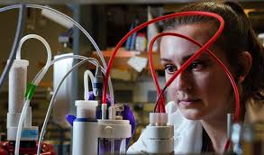 DEPARTMENT OFFOOD SCIENCEANNUAL