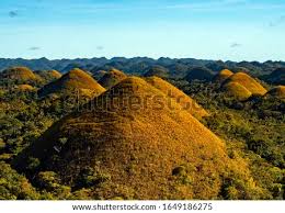 Backpackers, bed and breakfasts, motels and lodges are plentiful in the city suburbs. Shutterstock Puzzlepix