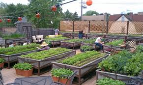 10 Rooftop Vegetable Garden Ideas Most Of The Awesome As Well As Stunning Vegetable Garden Planning Rooftop Garden Farm Gardens