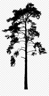 Check spelling or type a new query. Download Big Image Skinny Pine Tree Silhouette Vector Hd Png Download Vhv