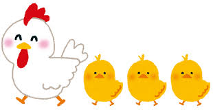 ニワトリとひよこの行進のイラスト | かわいいフリー素材集 いらすとや
