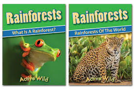 rainforest worksheets printable pdf factsheets download