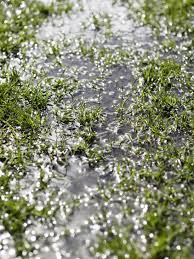 Maybe you would like to learn more about one of these? How To Improve Yard Drainage Hgtv