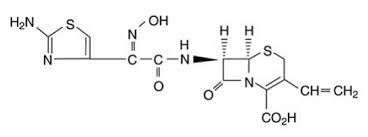 Omnicef Cefdinir Side Effects Interactions Warning