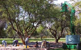 Old Apples Find a New Market