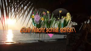 Hier findet ihr lustige fotos, memes und mehr in unserer bildergalerie. Gute Nacht Schlaf Schon Whatsapp Kostenlos Youtube