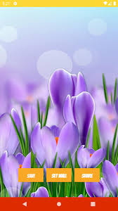 I have so much courage, fire, energy lavender aesthetic flower aesthetic purple aesthetic aesthetic food desert aesthetic. Purple Flower Aesthetic Wallpapers Offline For Android Apk Download