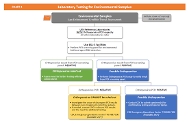 Chart 4 Laboratory Testing For Environmental Samples