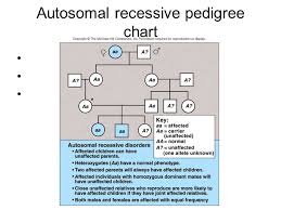 Tips For Interpreting Pedigree Charts And Understanding