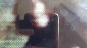 Bildergebnis für Shahin Afrassiabi