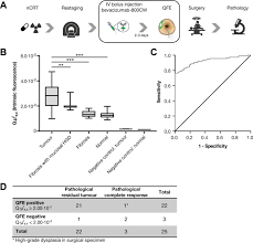 Quantitative fluorescence endoscopy: an innovative endoscopy approach to  evaluate neoadjuvant treatment response in locally advanced rectal cancer |  Gut