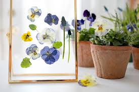 The flower tunnel microwave drying available on the site are made of sturdy quality stainless steel that prevents all forms of rusting and the streamlined and robust flower tunnel microwave drying are useful in drying several items such as foods, wastes, chemicals and many more depending on. How To Dry Flowers In Seconds