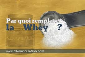 Produits De Remplacement De La Whey
