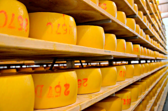 São Jorge Cheese