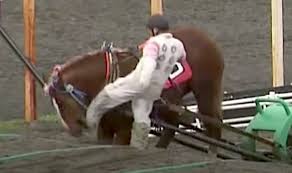 The left horse near the wagon was referred to as the wheel horse and was sometimes ridden. Japan Draft Horse Racing Faces Animal Cruelty Accusations Agb